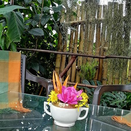 Eco Hostal Casa La Juana Bed and Breakfast Medellín Esterno foto