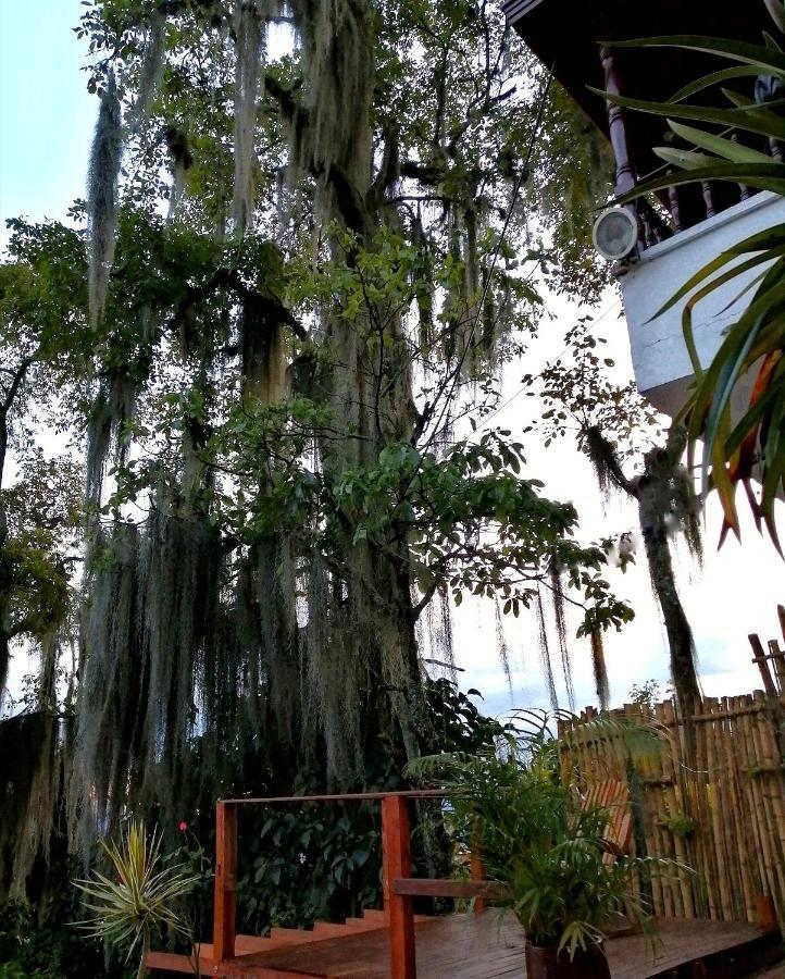 Eco Hostal Casa La Juana Bed and Breakfast Medellín Esterno foto