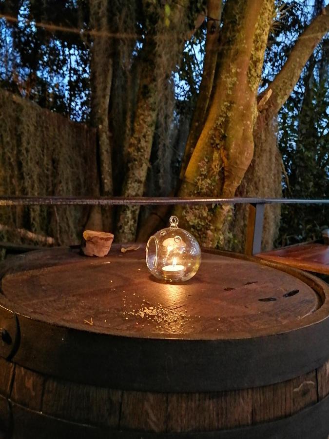 Eco Hostal Casa La Juana Bed and Breakfast Medellín Esterno foto